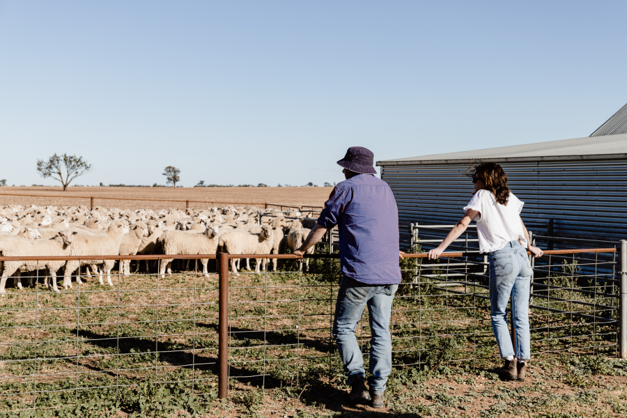 Nutrien Ag Solutions Insurance Quote_Cattle in Paddock