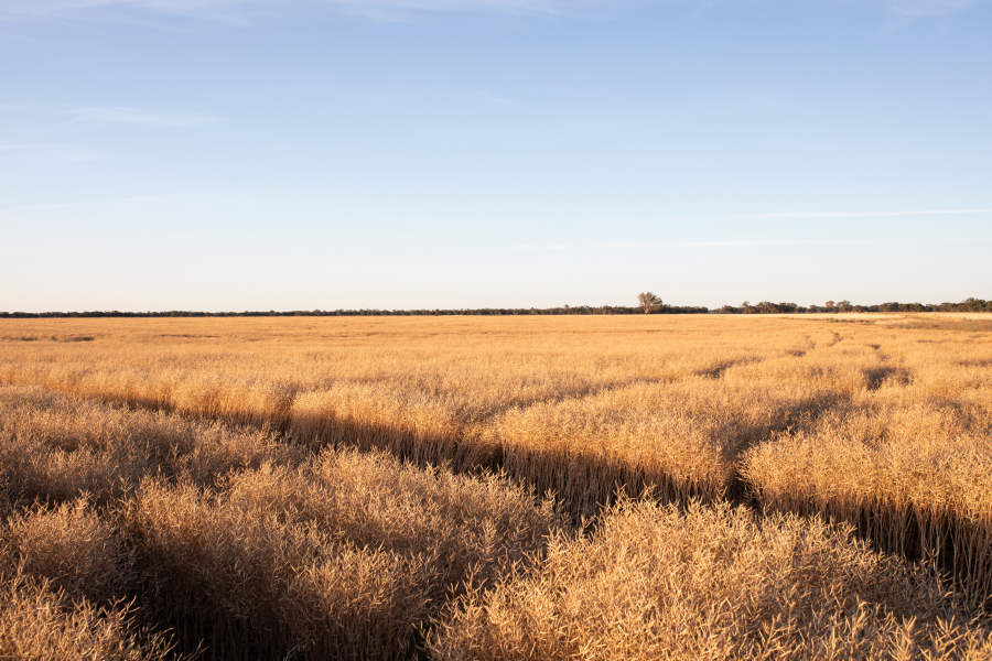 Nutrien Ag Solutions Crop Insurance