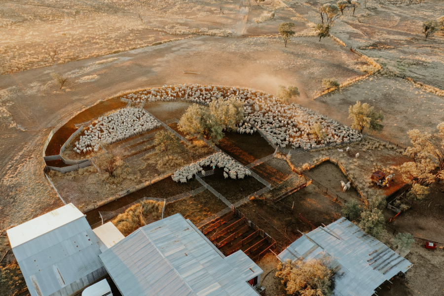 Nutrien Ag Solutions Business Insurance_Arial view of a farm in Australia
